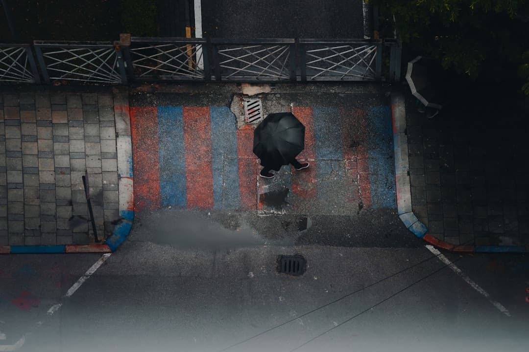 漂泊泡泡建立万元质量监督基金，发动公益项目助困童救漂泊动物